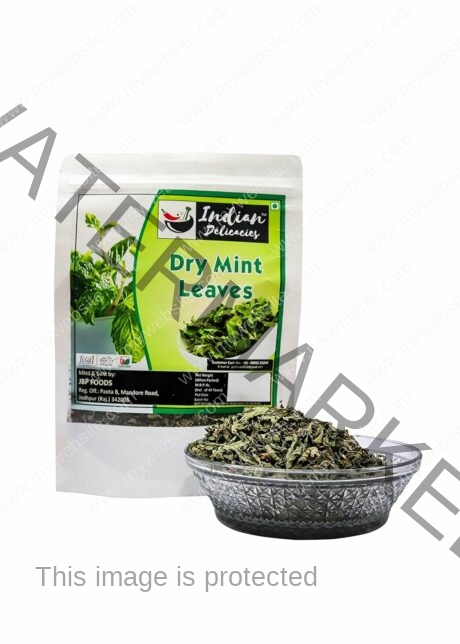 SURAJ Dry Mint Leave 100 gm