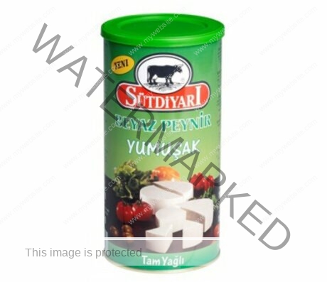 DAIRYLAND SUTDIYARI Yumusak Cheese 800 gm