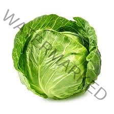 Green Cabbage