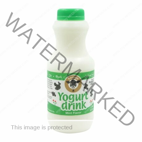 KAROUN Yogurt Drink Mint 16 oz