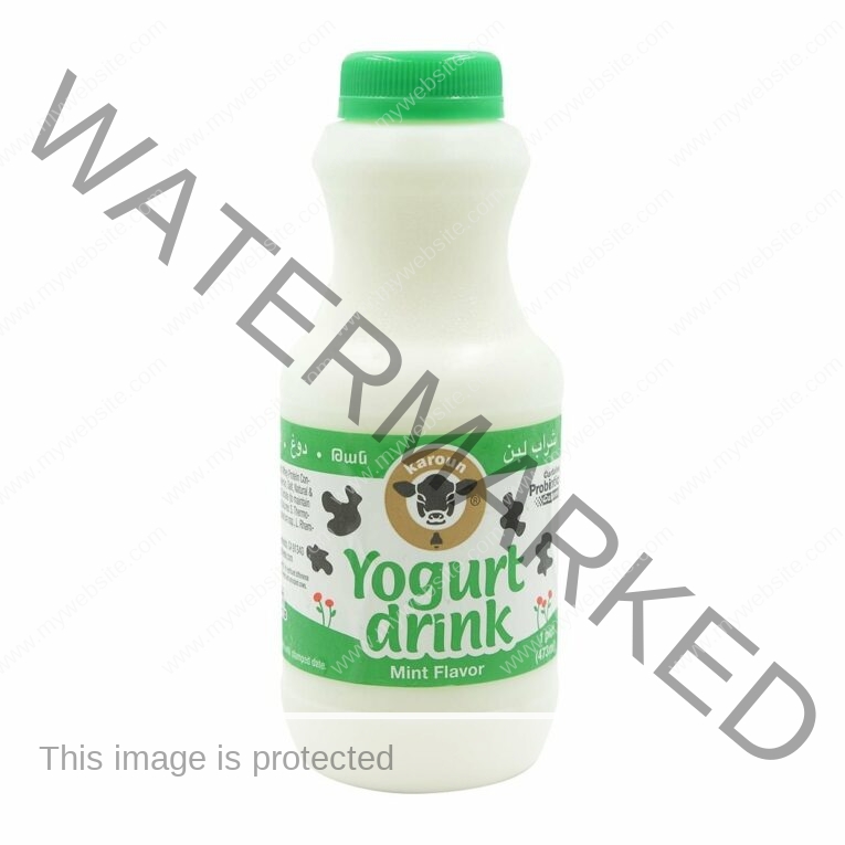 KAROUN-Yogurt-Drink-Mint-16-oz.jpg