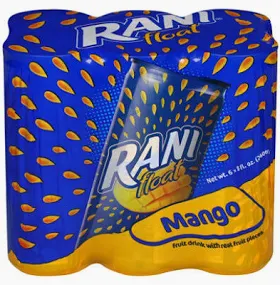 RANI CASE 6 pcs Float Pulp Juice MANGO
