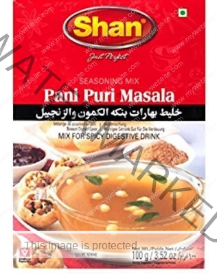 SHAN Pani Puri Masala 100 gm
