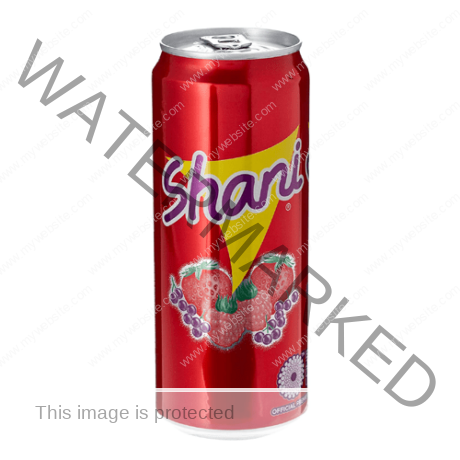 SHANI CASE 250 ml x 24 PACK