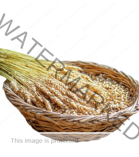 SURAJ Barley Whole W/ Skin 200 gm