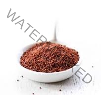 SURAJ Mustard Seed Red 200 gm