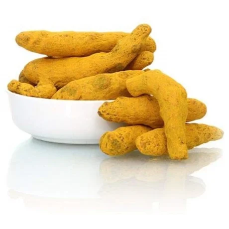 SURAJ Turmeric Whole Haldi Fingers 100 gm