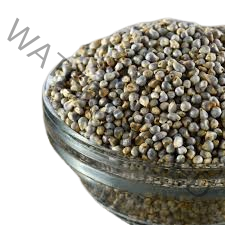 SURAJ Bajri ( Pearl Millet ) 400 gm