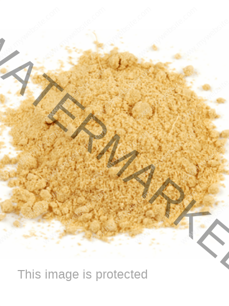 SURAJ Ginger Powder 200 gm