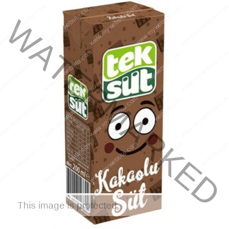 TEKSUT Chocolate MILK 200 ml