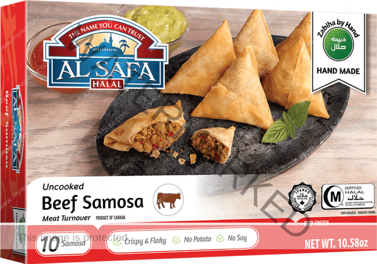 USA-Samosa-Beef-Samosa-11103-LR-1.png