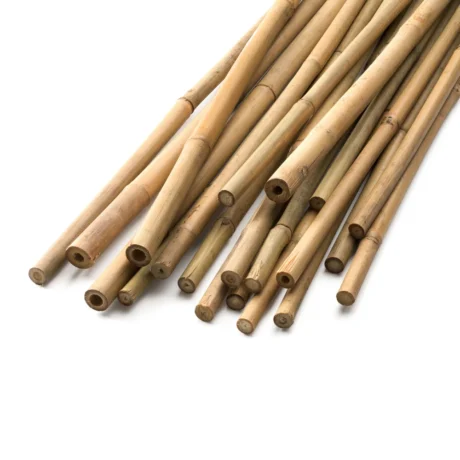 Bambo Sticks