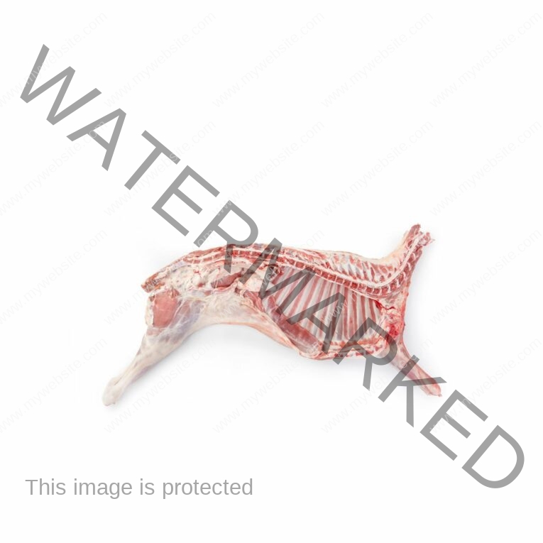 half-lamb.jpg