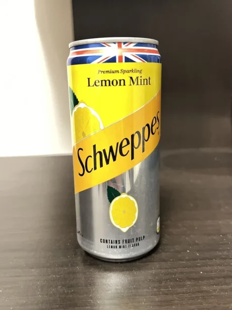 SCHWEPPES Lemon Mint 300 ml CAN