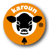 karoun logo