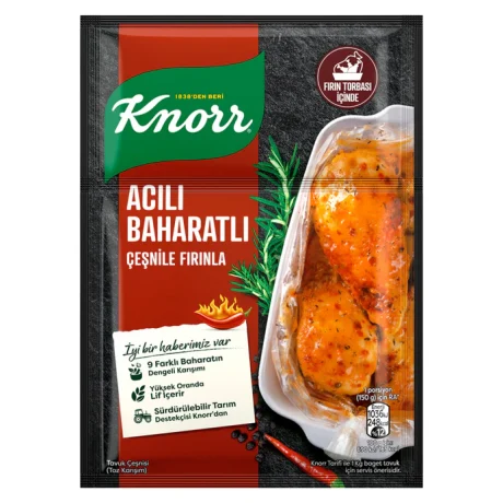KNORR Hot Spicy Seasoning 31 g