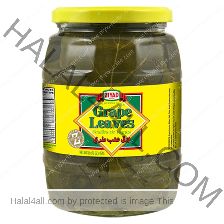ZIYAD Grape Leaves 454 gm JAR