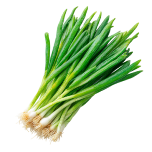 Spring Onions 1 bunch