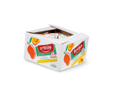BONJUS Case Mango Juice 21 pcs X 6 oz