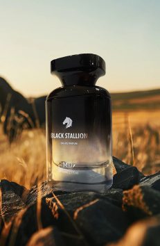 MTJ Black Stallion 50 ml Eau De Parfum