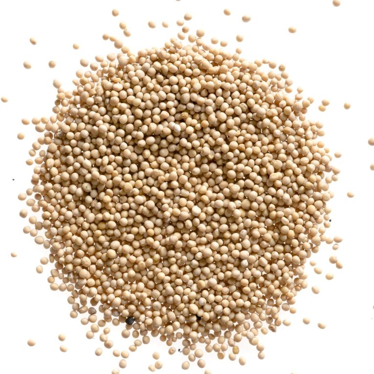 product-20415-suraj-mustard-seed-thumb-26859.jpg