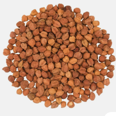 SURAJ Kala Chana
