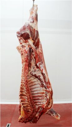 Half Veal $7.49/lb