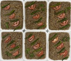 Beef Chapli Kebab (Marinated) / LB