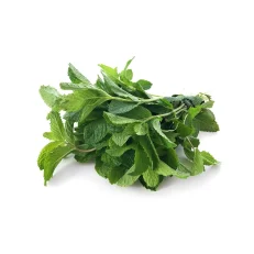 Fresh Mint - (Each Tray / Bunch)