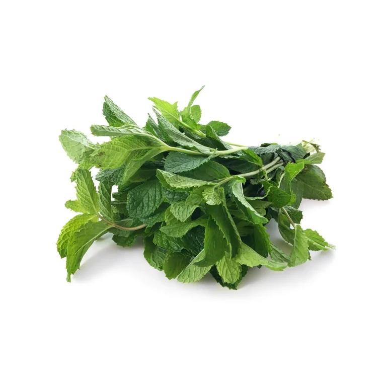 product-20653-fresh-mint-each-tray-bunch-thumb-26692.webp