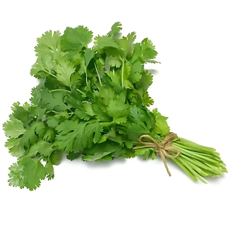 product-20657-fresh-cilantro-ea-thumb-26689.webp
