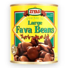 ZIYAD Fava Beans LARGE