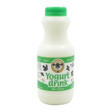 KAROUN Yogurt Drink Mint 16 oz