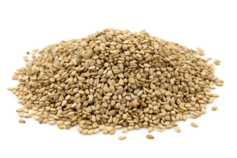 product-22063-suraj-sesame-seed-brown-200-gm-thumb-25557.webp