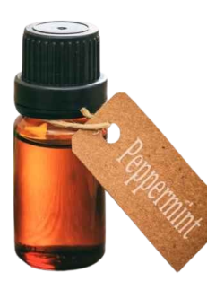 ASHWIN Peppermint 50 ml