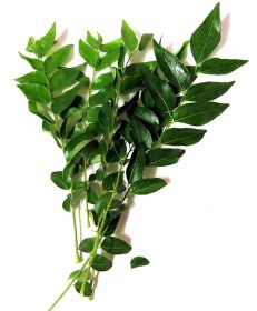 CURRY LEAVES Fresh  EA