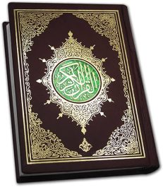Holy Quran # 3 , 13- LINES