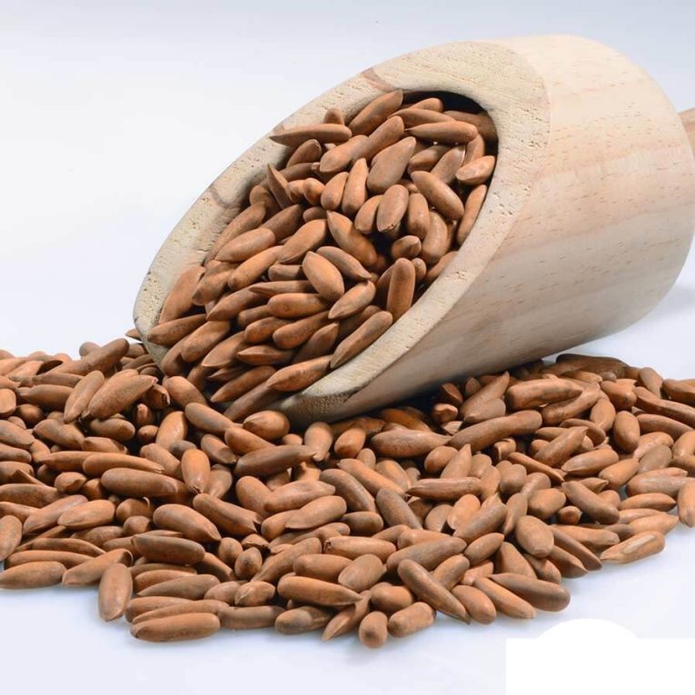 product-23393-suraj-pine-nuts-w-o-shell-100-gm-thumb-24864.jpeg