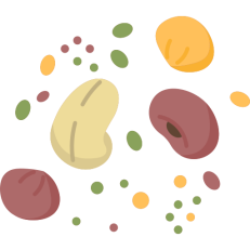 Grains & Lentils