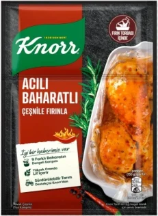 KNORR Hot Spicy Seasoning 31 gm